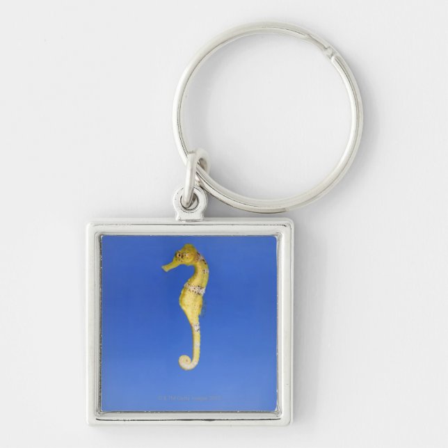 Seahorse Key Ring (Front)