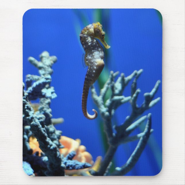 Seahorse Magic Mouse Pad (Front)