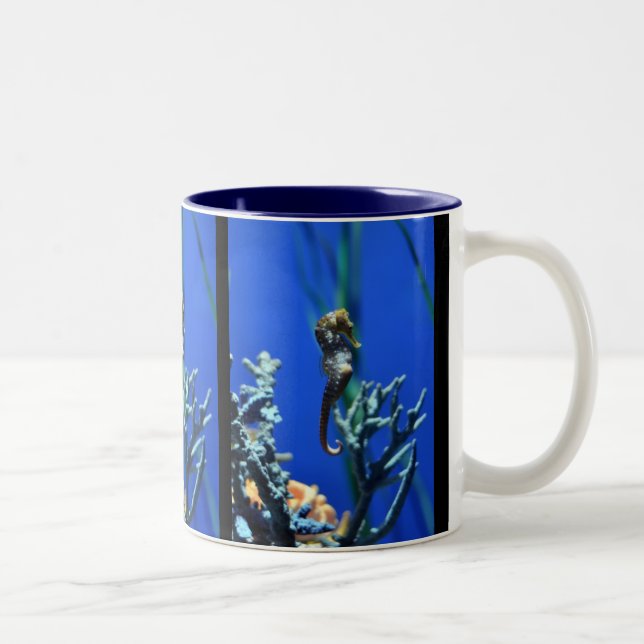 Seahorse Magic Two-Tone Coffee Mug (Right)
