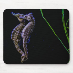Seahorse Mousepad