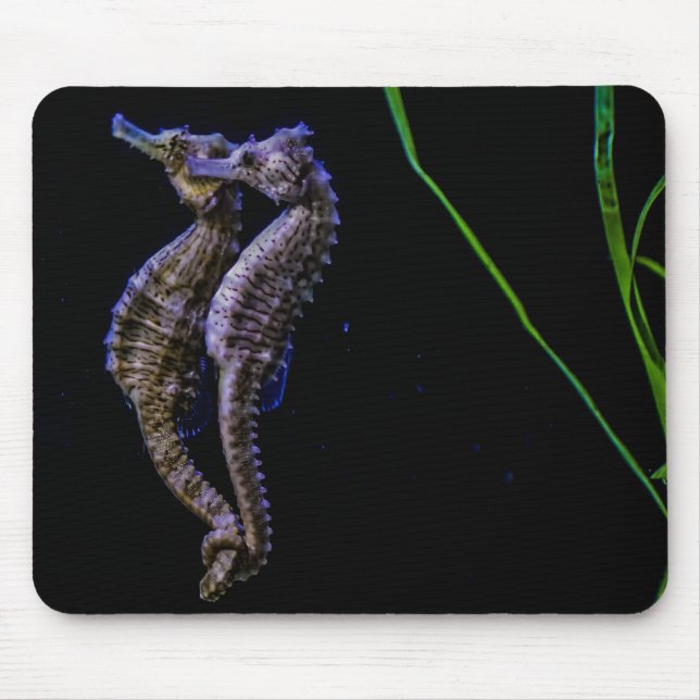 Seahorse Mousepad (Front)