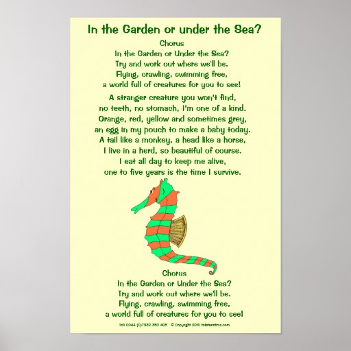 Seahorse poem poster | Zazzle