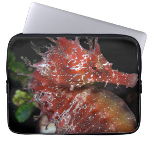 Seahorse   Pony Female Begur Laptop Sleeve