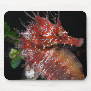Seahorse Pony Female Begur Mouse Pad