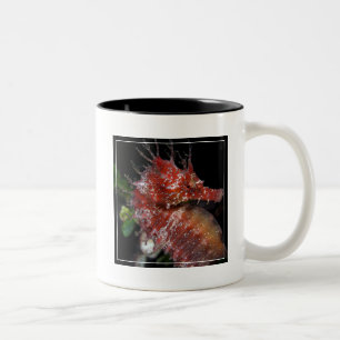 Seahorse Pony Female Begur Two-Tone Coffee Mug