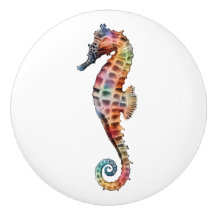 Seahorse Rainbow
