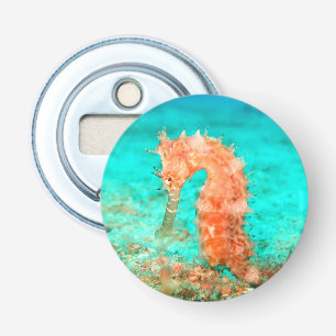 Seahorse tropical carribean turquoise orange bottle opener