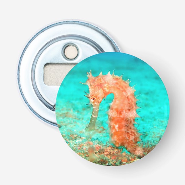 Seahorse tropical carribean turquoise orange  bottle opener (Front)