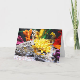 Seahorses Holiday Card