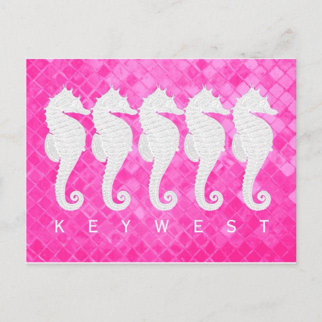 Seahorses Key West or Your Text Postcard (Front)