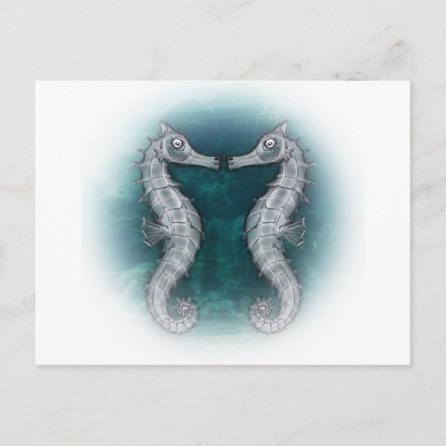 seahorses postcard (Front)