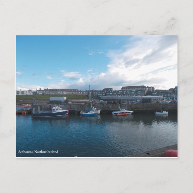Seahouses Harbour - Postcard (Front)