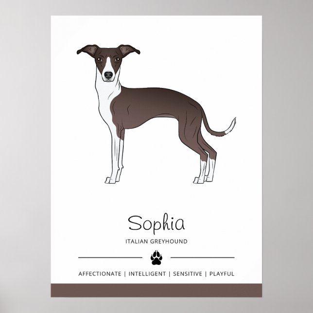 Seal And White Italian Greyhound With Custom Text Poster (Front)