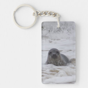 Seal - Animal Image Acrylic Rectangle Keychain