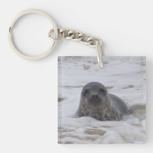Seal - Animal Image Acrylic Square Keychain (Front)