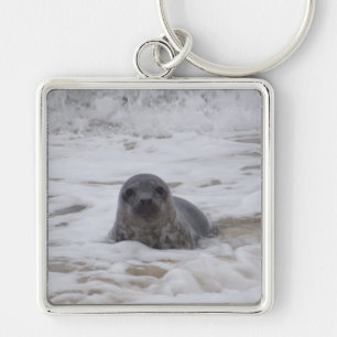 Seal - Animal Image Premium Square Keychain