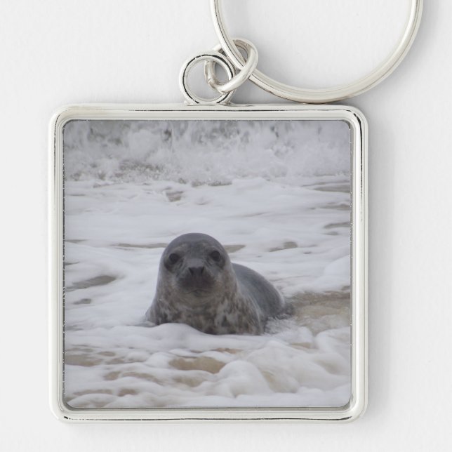 Seal - Animal Image Premium Square Keychain (Front)