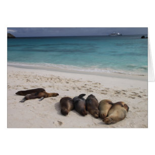 Seal Card