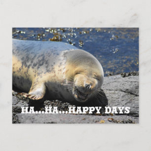 seal, Ha...Ha...Happy Days postcard