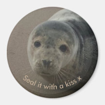 Seal it with a kiss cute baby gray seal