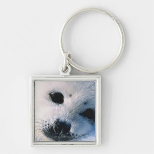 Seal Key Ring