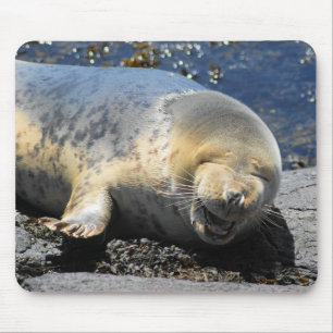 seal laughing, cute giggling seal, cute seal pup mouse pad