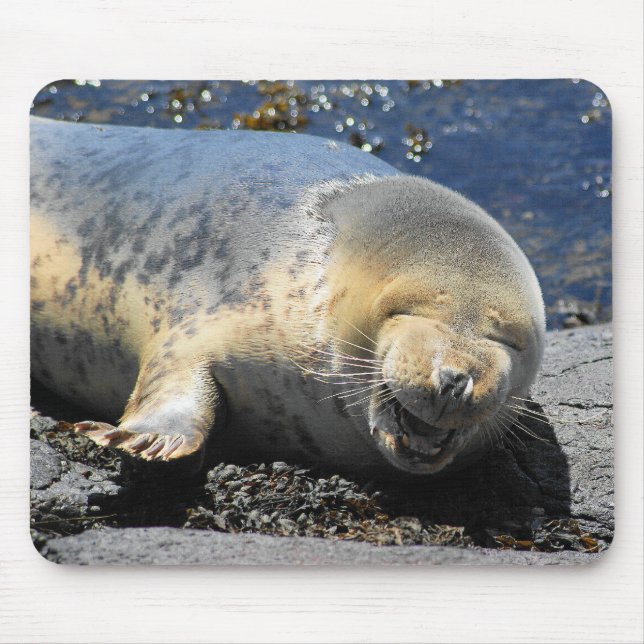 seal laughing, cute giggling seal, cute seal pup mouse pad (Front)
