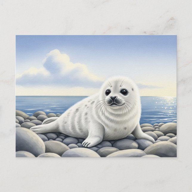 Seal of Approval Baby Wild Animals Postcard (Front)