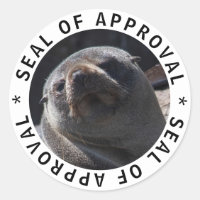 Seal of approval close up cute animal photo