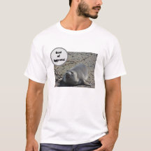 Seal Of Approval Elephant Seal Humourous Photo