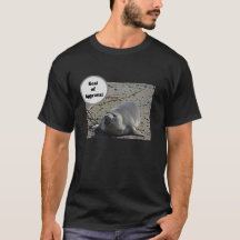 Seal Of Approval Elephant Seal Humourous Photo