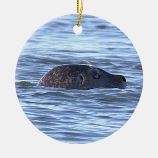 Seal Photo Ornament  (Front)