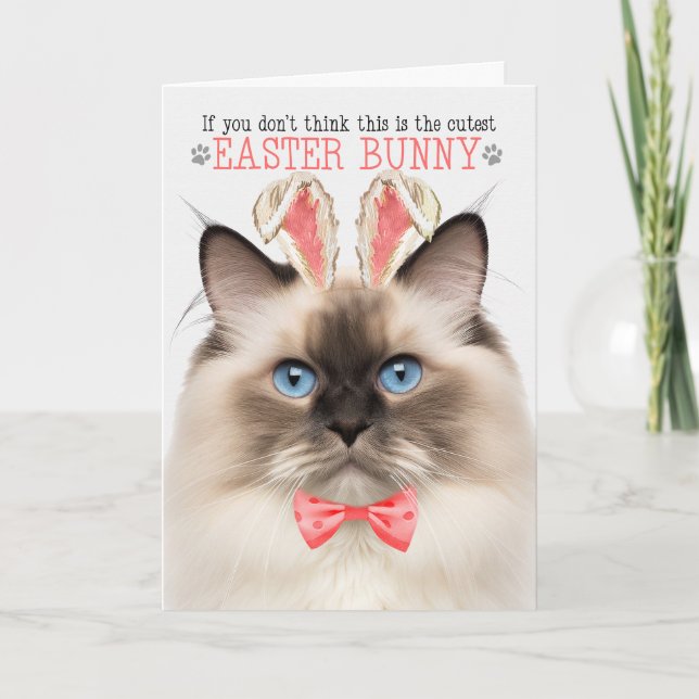 Seal Point Ragdoll Cutest Easter Bunny Kitty Puns Holiday Card (Front)