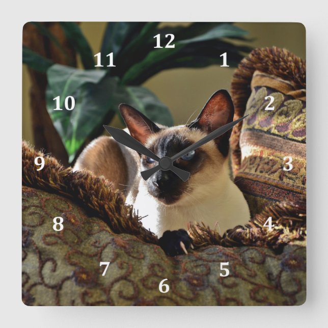 Seal Point Siamese Cat on Comfy Pillow Square Wall Clock (Front)