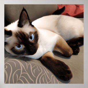 Seal Point Siamese Digital Portrait Poster