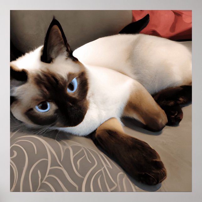Seal Point Siamese Digital Portrait  Poster (Front)