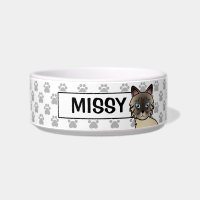Seal Point Tabby Birman / Ragdoll Cat & Name