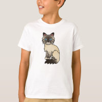 Seal Point Tabby Birman / Ragdoll Cat