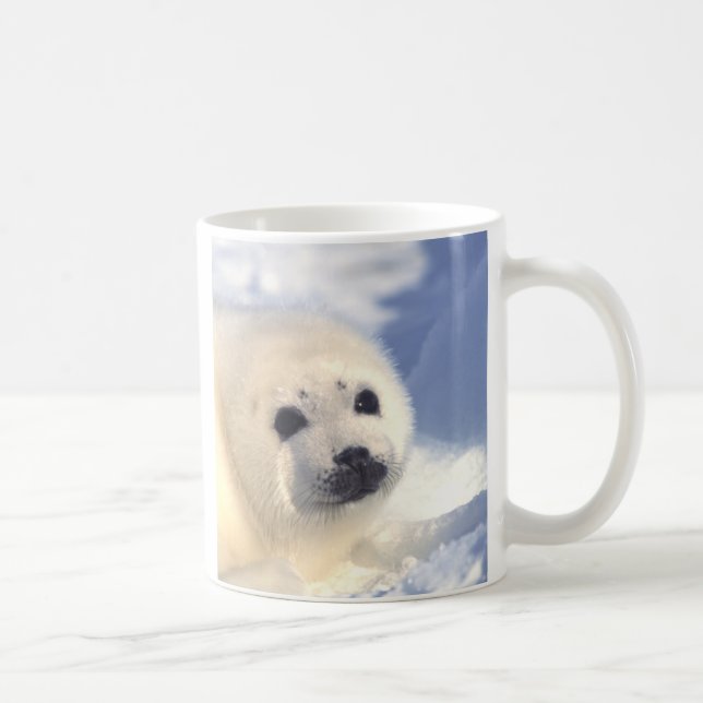 Seal Pup Face Coffee Mug (Right)