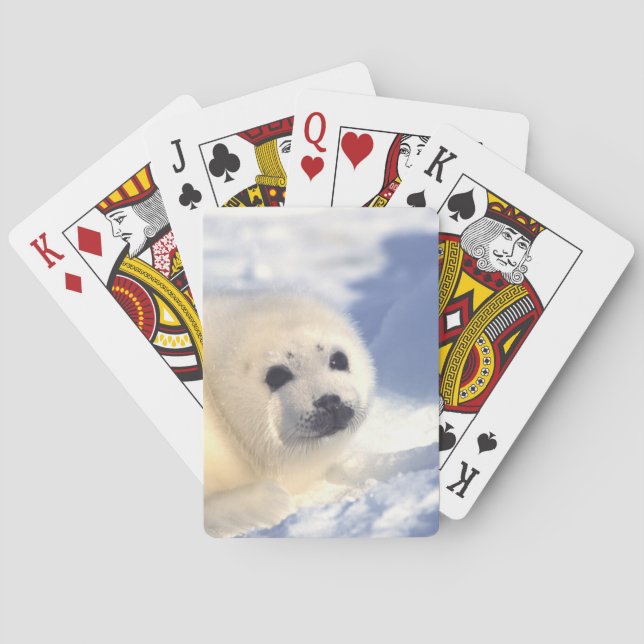 Seal Pup Face Playing Cards (Back)
