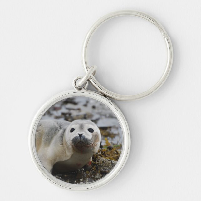 Seal Pup Keychain (Front)
