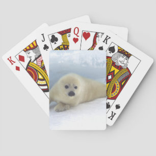 Seal Pup Playing Cards