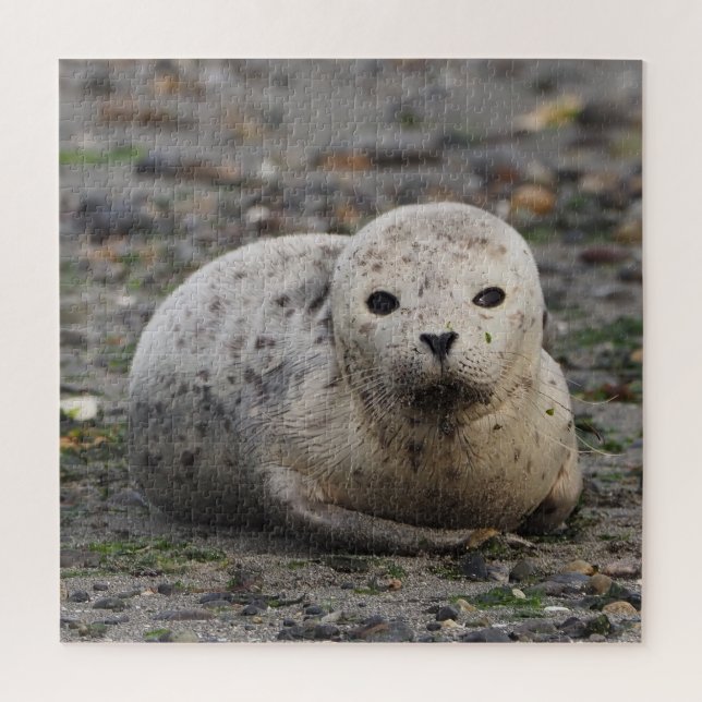Seal Puzzle (Vertical)