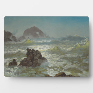 Seal Rock, California, c.1872 Plaque