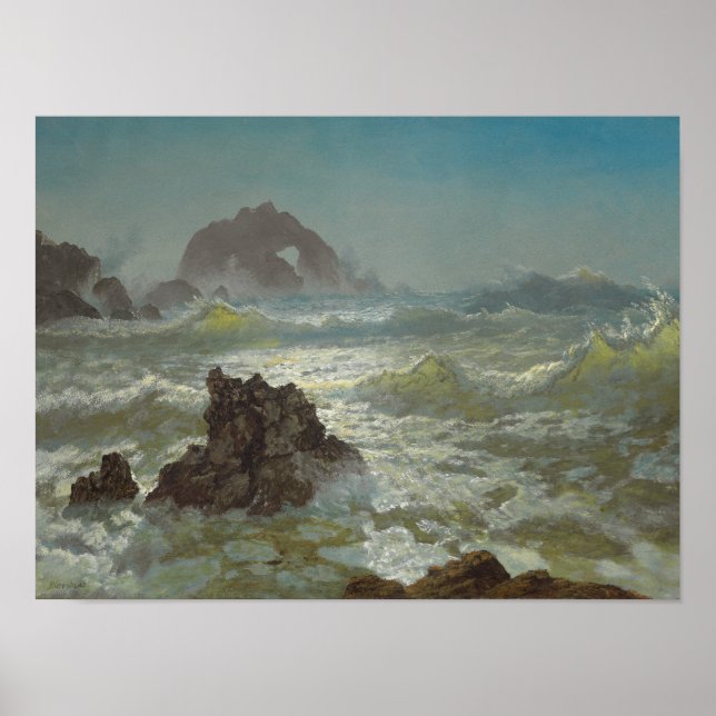 Seal Rock, California, c.1872 Poster (Front)