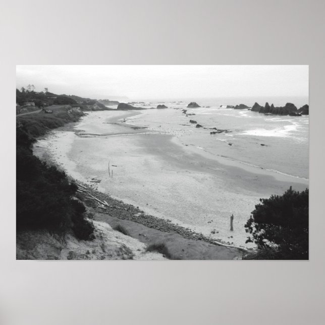 Seal Rock -Duotone Poster (Front)