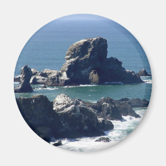 Seal Rock Ecola State Park Oregon Coast Magnet
