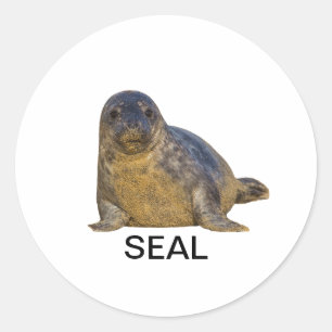 Seal Sticker 02
