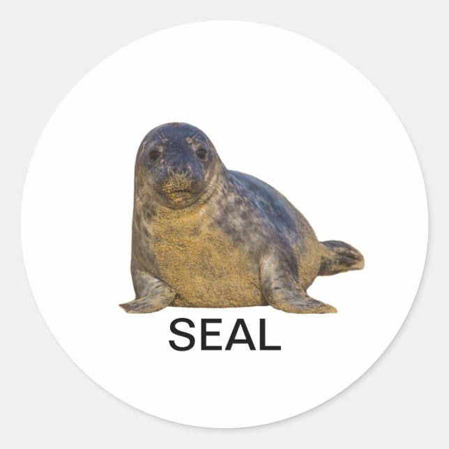 Seal Sticker 02 (Front)