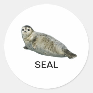 Seal Sticker 05